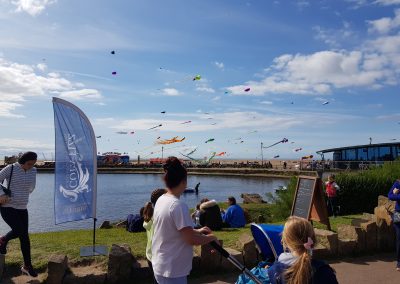 Kite festival - Kites flying